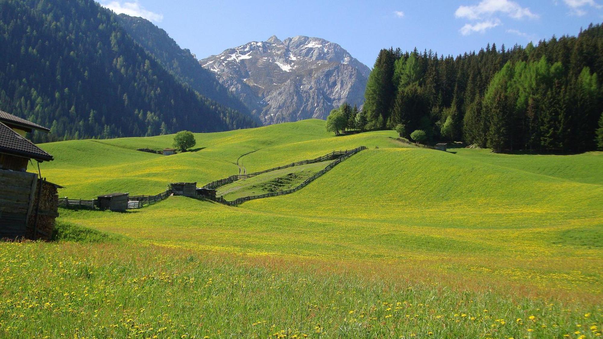 Haus Annemarie Apartments Kartitsch - Hochpustertal Kültér fotó