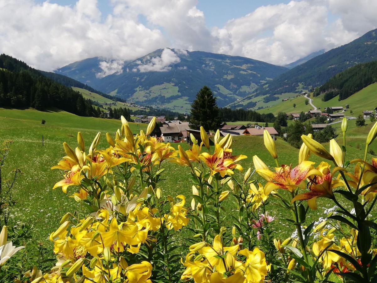 Haus Annemarie Apartments Kartitsch - Hochpustertal Kültér fotó